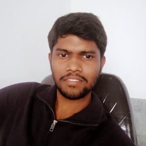 Lalith Kumar-Freelancer in Bengaluru,India