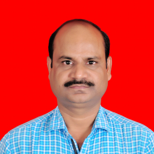 Rajeeb Karn-Freelancer in Pune,India