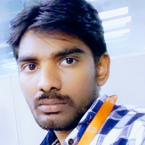 Praveen Kumar Krishna-Freelancer in Hyderabad,India