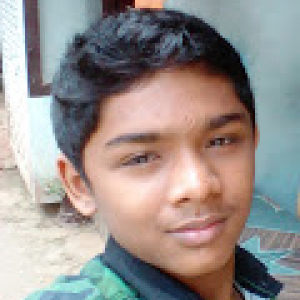 Al Ameen-Freelancer in trivandrum,India