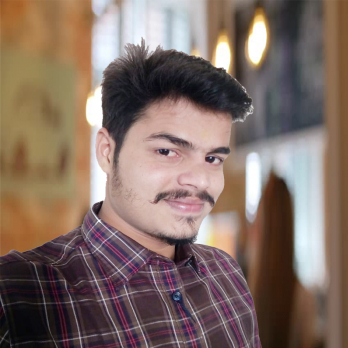 Sunil Kaushik-Freelancer in ,India