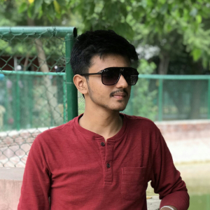 Gitesh Chaudhary-Freelancer in Sirsa,India