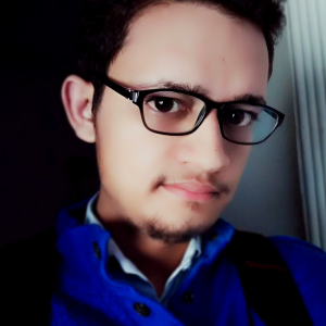 Ajay Sharma-Freelancer in Bhiwani Haryana,India