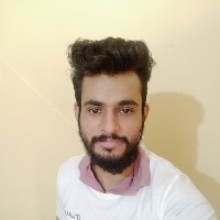 Bharat Arora-Freelancer in Nagpur,India