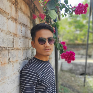 Nikhil Tiwari-Freelancer in Bhandara,India