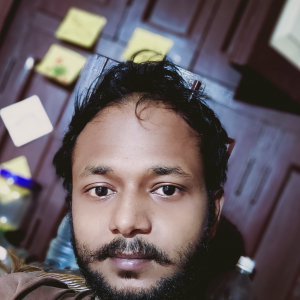 Sailesh Patra-Freelancer in ,India