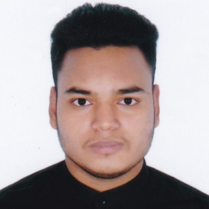 Mahfujur Rahman Sadik-Freelancer in Dhaka,Bangladesh