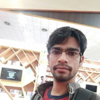 Ravi Kumar Sureria-Freelancer in Faridabad,India