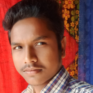 Rudranil Rajak-Freelancer in ,India