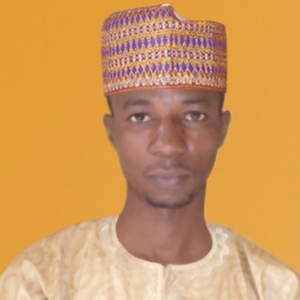 Bashir Ahmad-Freelancer in Kano,Nigeria