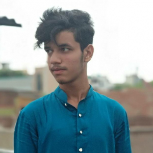Adnan Sameer-Freelancer in Kolkata,India