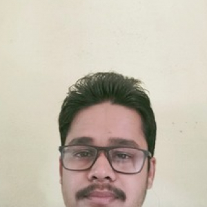 G PATHOK-Freelancer in ,India