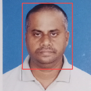 Sathyanarayanan R-Freelancer in Chennai,India