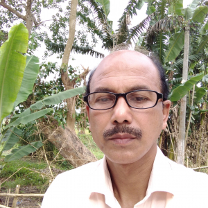 Dilip Borah-Freelancer in Majuli,India