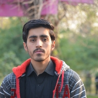 Ehtisham Abbasi-Freelancer in Burma Town,Pakistan