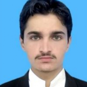 Syed Hussain Shah-Freelancer in Islamabad,Pakistan