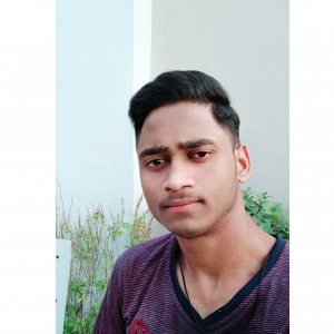 Shubham Kumar-Freelancer in ,India