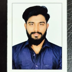 Salman Hamsa-Freelancer in ,India