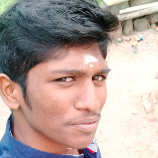Subramani D-Freelancer in Tamil Nadu,India