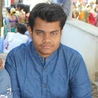 Rishikesh Shant-Freelancer in ,India
