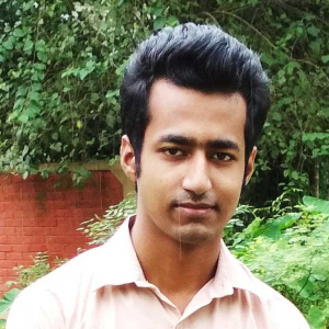 Abhijit Patowary-Freelancer in Imphal,India