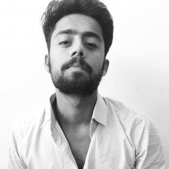 Vishal Mathur-Freelancer in Jaipur,India