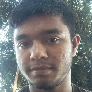 Md Liton Hasan-Freelancer in Mokamtola, bogurai,Dhaka,bangladesh,Bangladesh