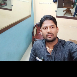 Balaji J-Freelancer in ,India