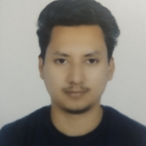 Ankit Mandal-Freelancer in ,India