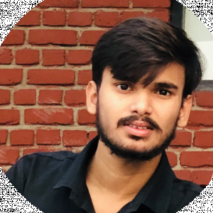 Ankush Kumar-Freelancer in punjab,India