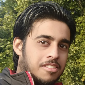Chetan Rajput-Freelancer in Amritsar,India