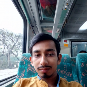 Nilanjan Sarkar-Freelancer in Kolkata,India