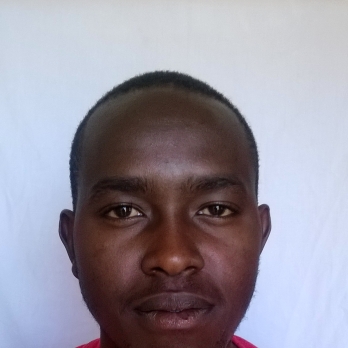 Dennis Gitahi-Freelancer in Kiambu,Kenya