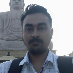 Vidya Bhushan-Freelancer in ,India