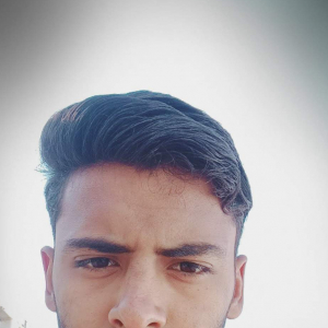 Arvind Dhayal-Freelancer in Malkhera,India