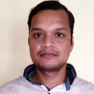 Angshuman Roy-Freelancer in Malda,India