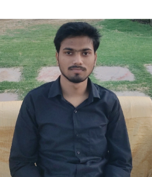 Mohd Zaid Sarwar-Freelancer in New Delhi,India