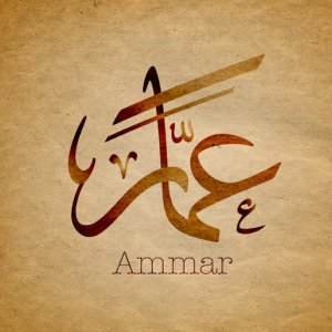 Ammar Arif-Freelancer in wazirabad,Pakistan
