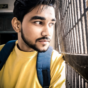 Anil Verma-Freelancer in ,India