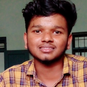 Bibin Mv-Freelancer in Ernakulam,India