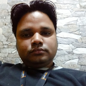 Sanjeev Kumar-Freelancer in Kanpur,India