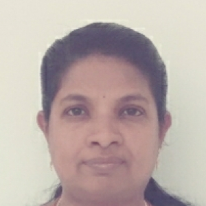 Bindhu Y-Freelancer in ,India