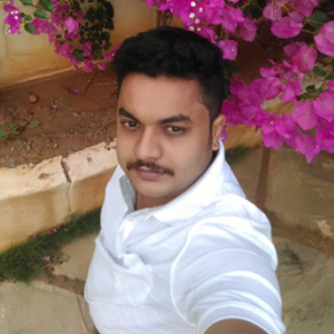 Saranraj Ar-Freelancer in Kollam,India