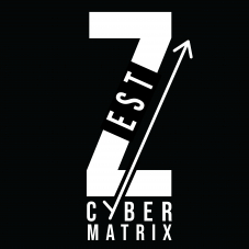 Zest Cybermatrix Solution-Freelancer in Kolkata,India