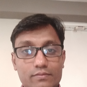 Nimesh Patel-Freelancer in Bayad,India