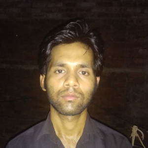 Veer Bahadur-Freelancer in ,India