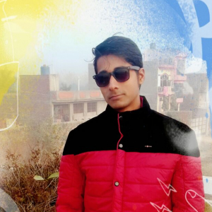 Vivek Kumar Sharma-Freelancer in ALIGARH,India