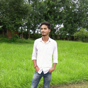 Nilesh Singh-Freelancer in ,India