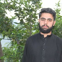 Shah G-Freelancer in Rawalpindi,Pakistan