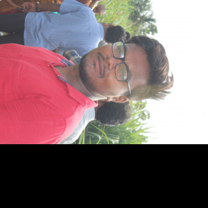 R Chandrashekar-Freelancer in ,India